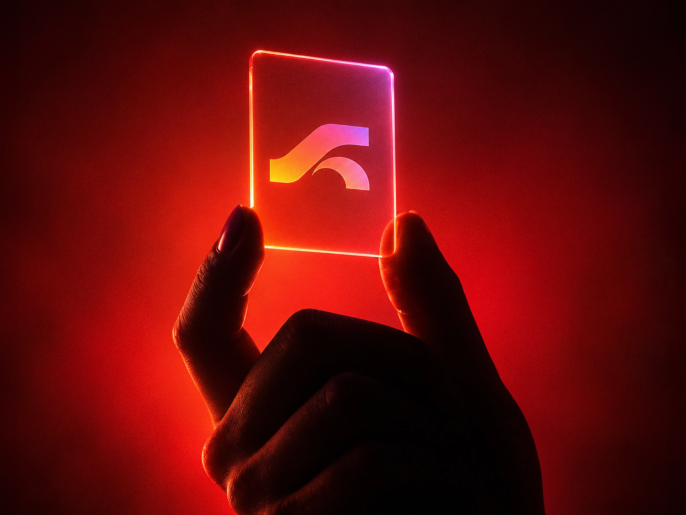 South Arc -Brand Identity — project detail