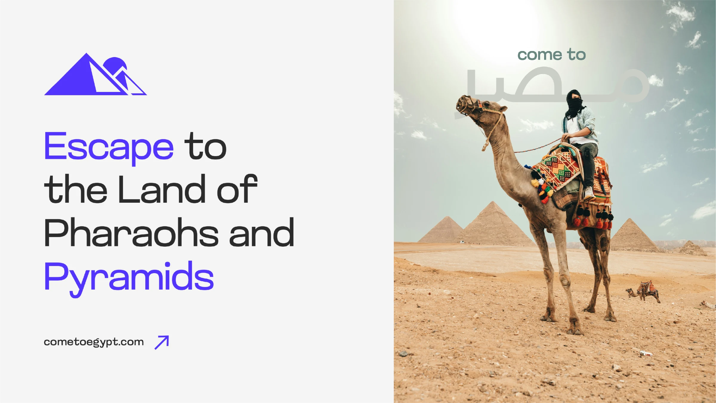 Come to Egypt — project detail