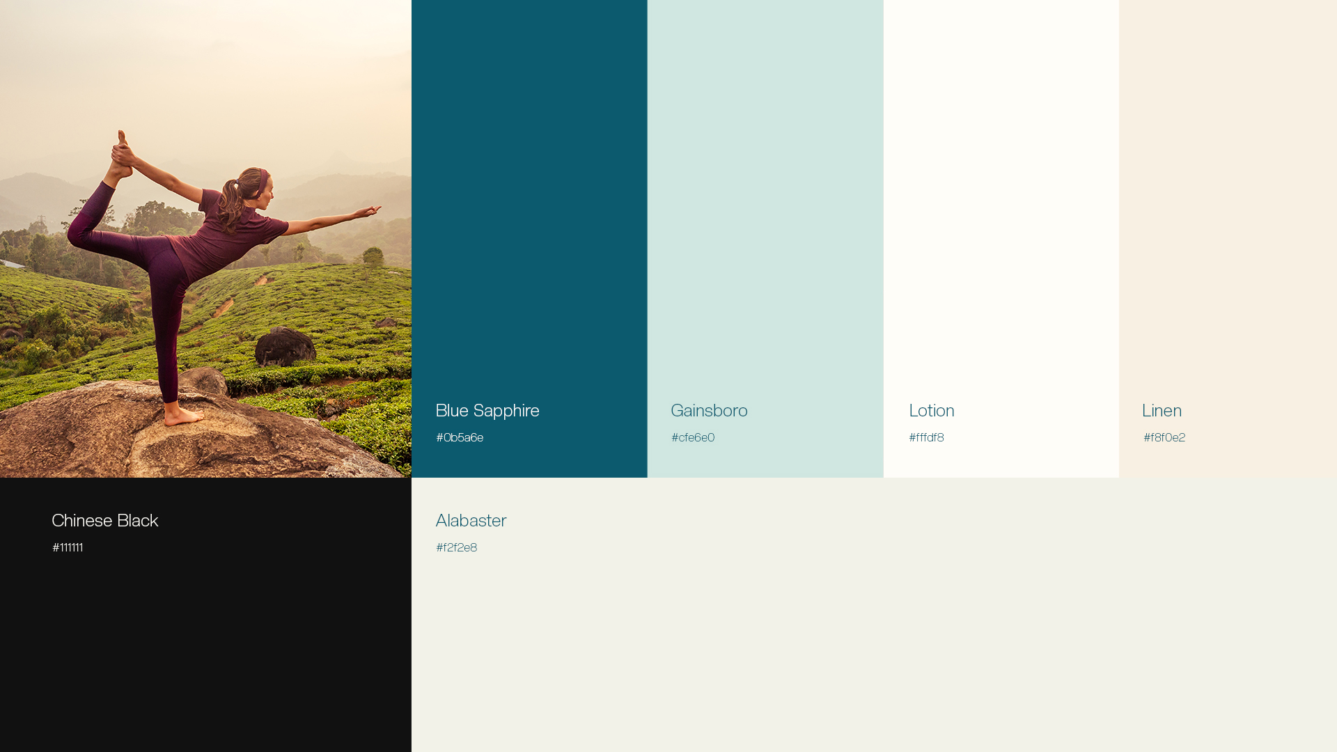 Anassa - Visual Brand Identity Design — project detail